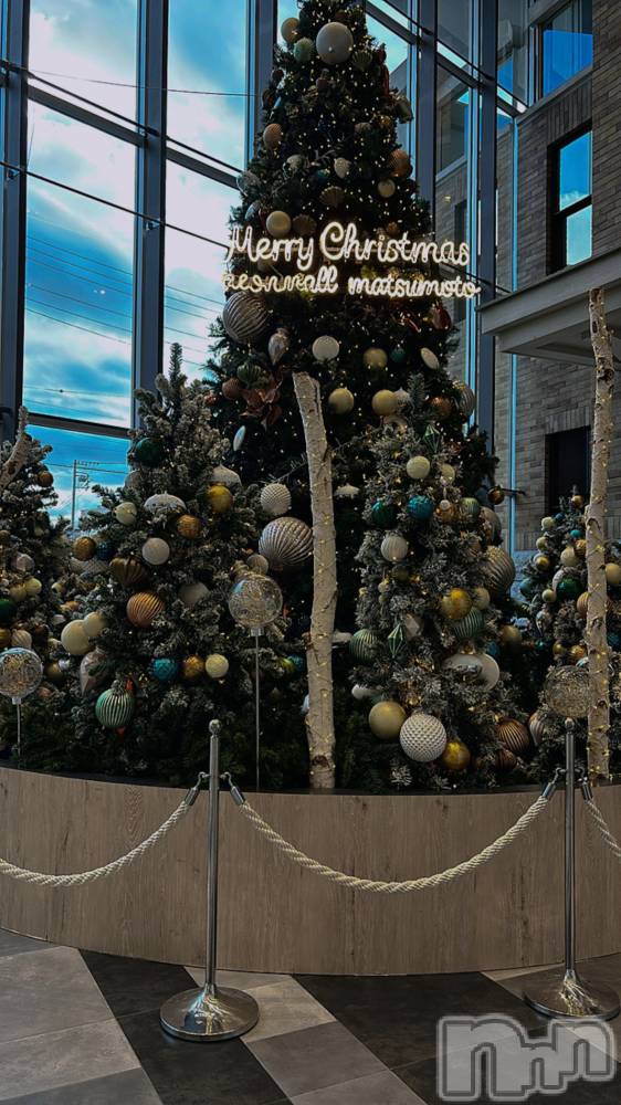 ܱʥå륺СPREMIUM bar ViVi(ץߥС) 118ֽ̥֥ФƤ롩