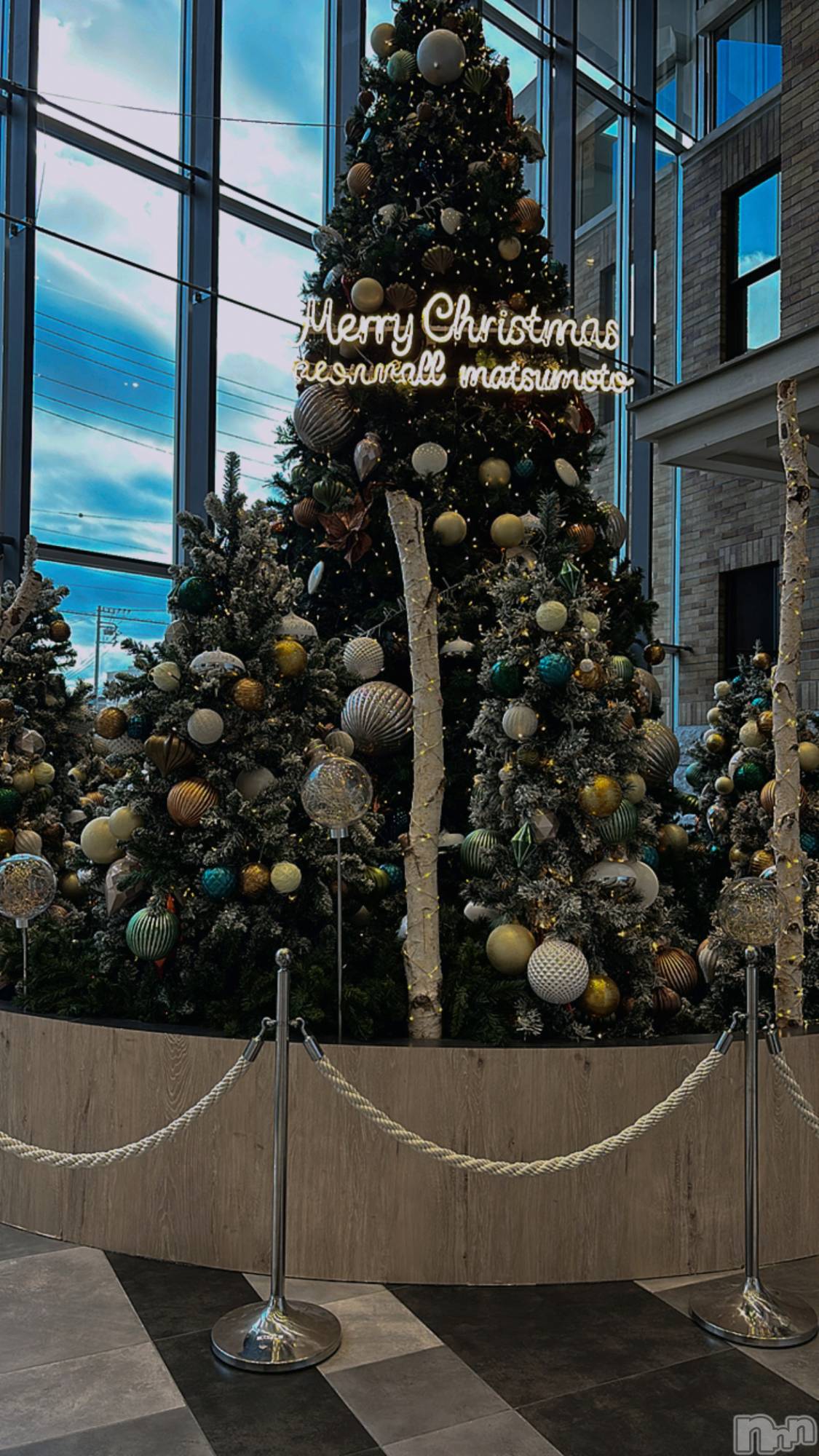 ܱʥå륺СPREMIUM bar ViVi(ץߥС) 2025ǯ118ֽ̥֥ФƤ롩