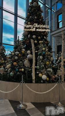 ܱʥå륺СPREMIUM bar ViVi(ץߥС) (26)118ֽ̥֥ФƤ롩