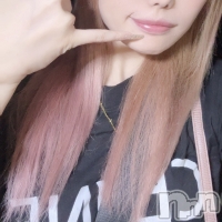 PREMIUM bar ViVi