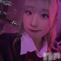 줤(20) Ĺ150cmܱʥå륺С PREMIUM bar ViVi(ץߥС)ҡ