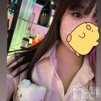 Ҥ(21) Ĺ153cmܱʥå륺С PREMIUM bar ViVi(ץߥС)ҡ