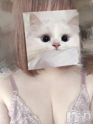 上越デリヘル HONEY(ハニー) のえる(21)の1月23日写メブログ「待機ちゅ❕」