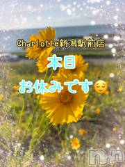 新潟デリヘルCharlotte新潟駅前店(シャーロットニイガタエキマエテン)の6月22日お店速報「本日女の子の日でお休みです🍀」