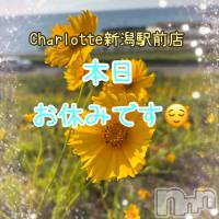 新潟デリヘル Charlotte新潟駅前店(シャーロットニイガタエキマエテン)の6月22日お店速報「本日女の子の日でお休みです🍀」