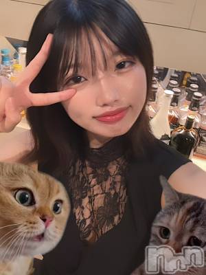 ޤޤä(ҥߥ) Ĺҥߥġȯѥ˥󥯥 㥳(˥)ҡ