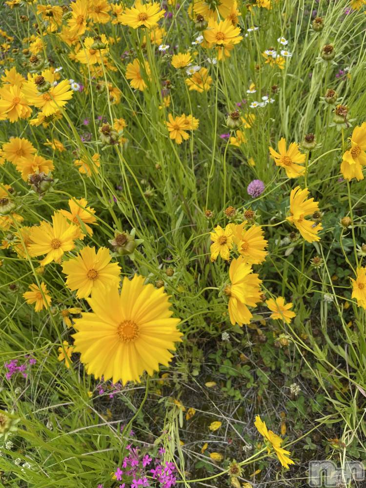 ��ë����Х��顦�����CLUB��Paladin(����֡��ѥ�ǥ���) ���ޤ�4��24���̥�֥�����🌷🌸��