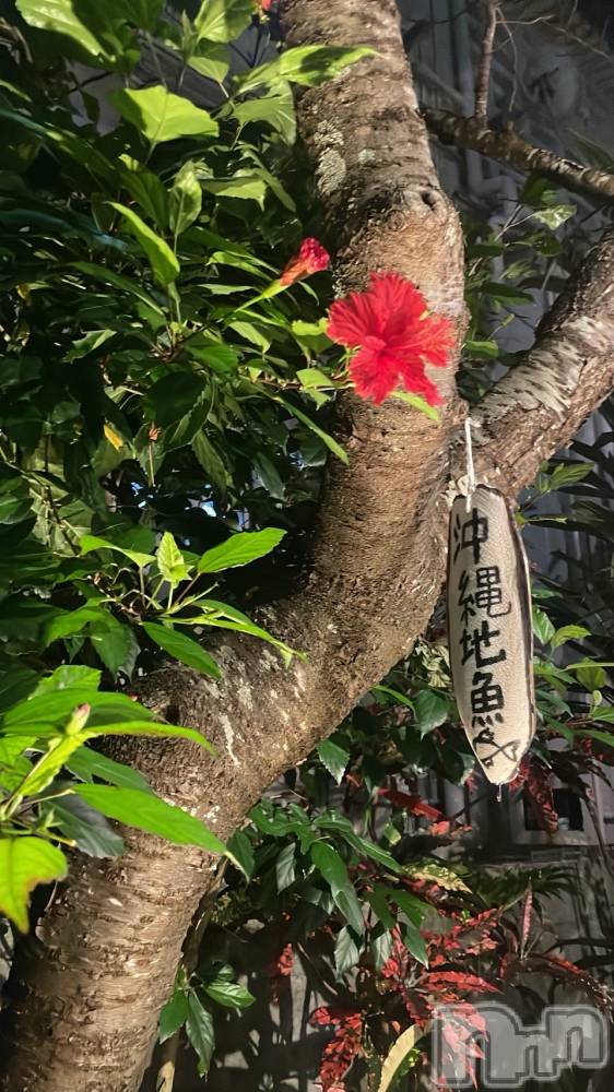 ��ë����Х��顦�����CLUB��Paladin(����֡��ѥ�ǥ���) ���ޤ�1��29���̥�֥�����🌌🌙⭐��