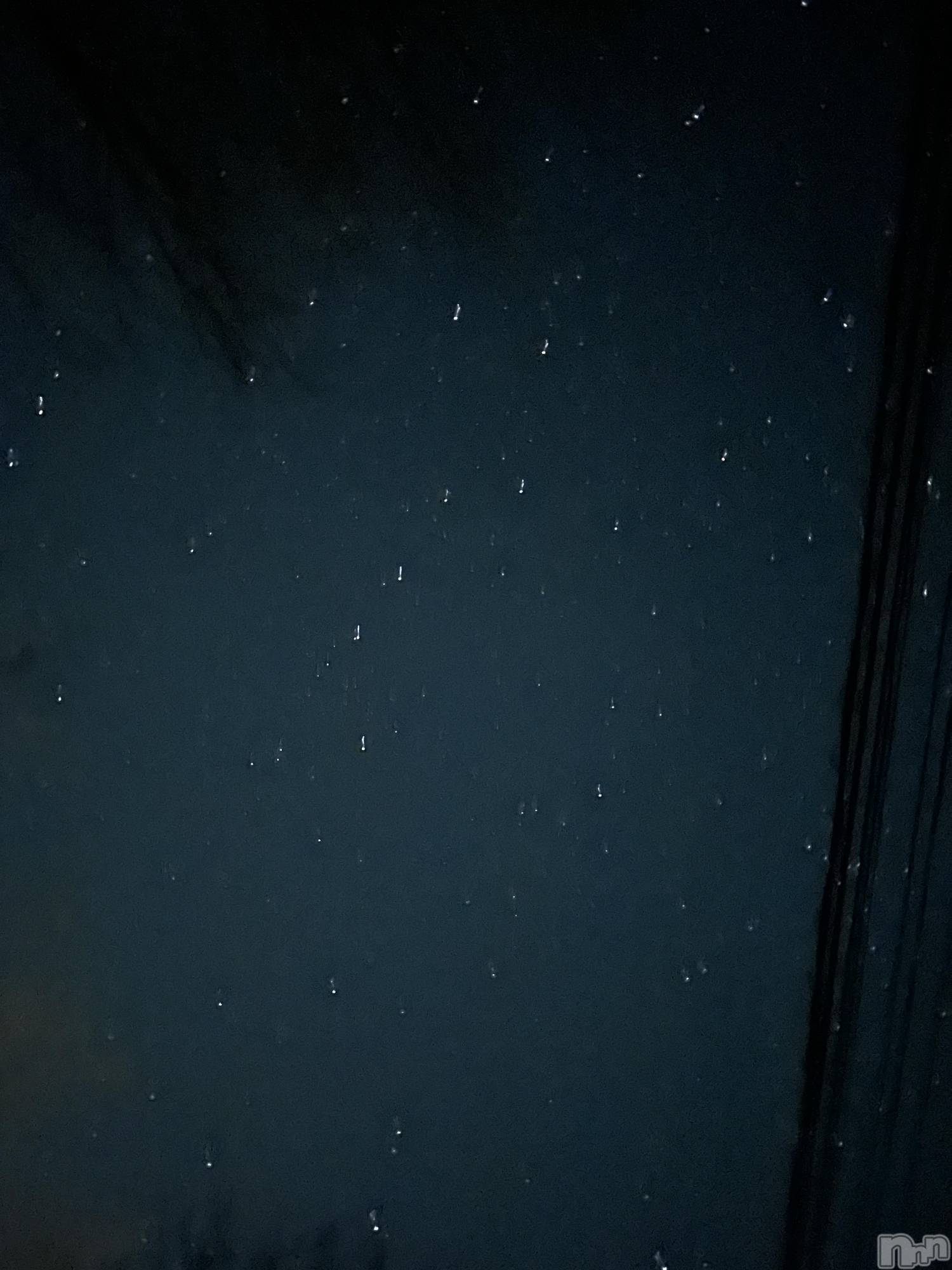 ��ë����Х��顦�����CLUB��Paladin(����֡��ѥ�ǥ���) ��2025ǯ2��1���̥�֥�����🌃🌟⋆꙳��