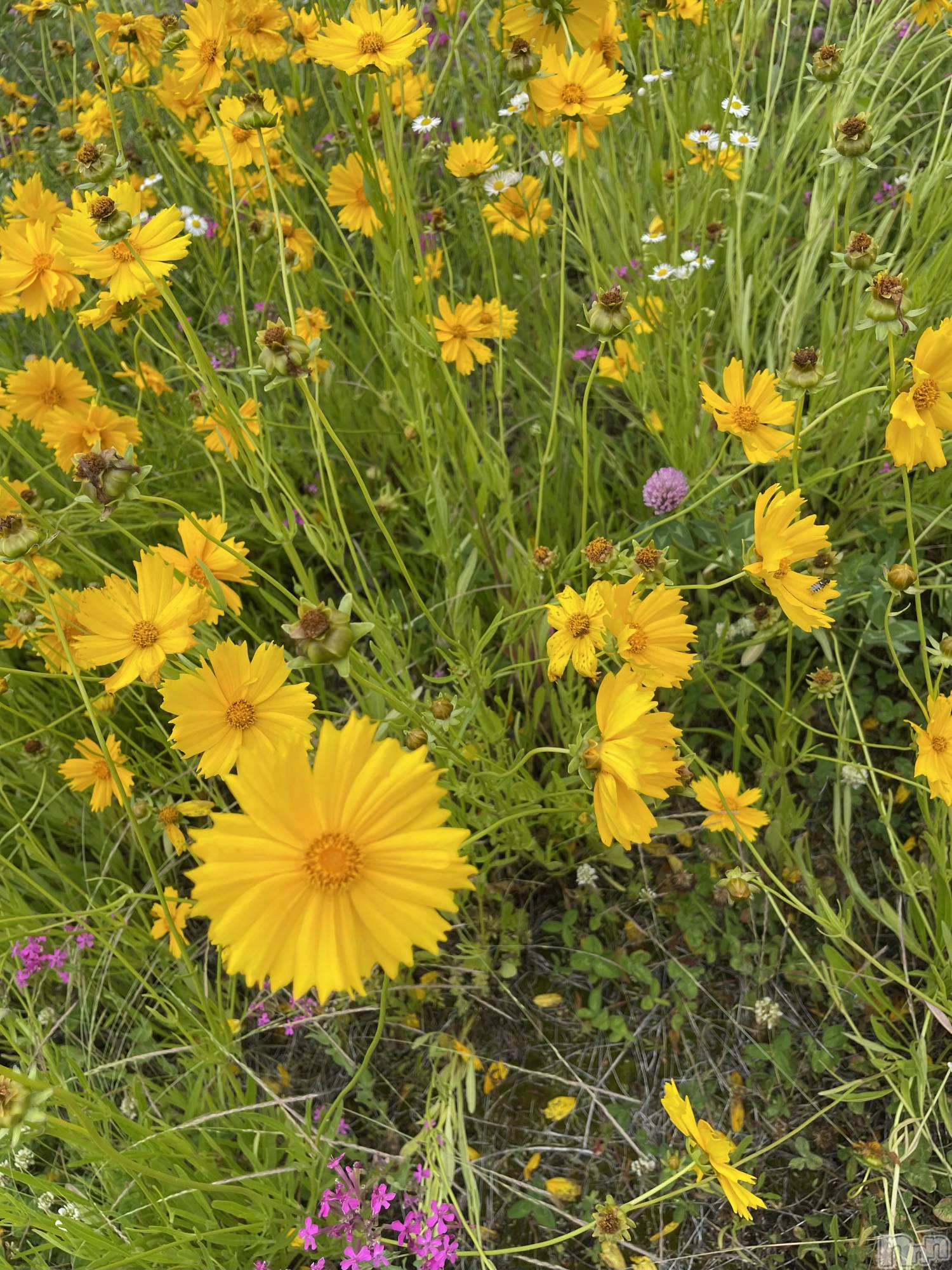 ��ë����Х��顦�����CLUB��Paladin(����֡��ѥ�ǥ���) ��2025ǯ4��24���̥�֥�����🌷🌸��