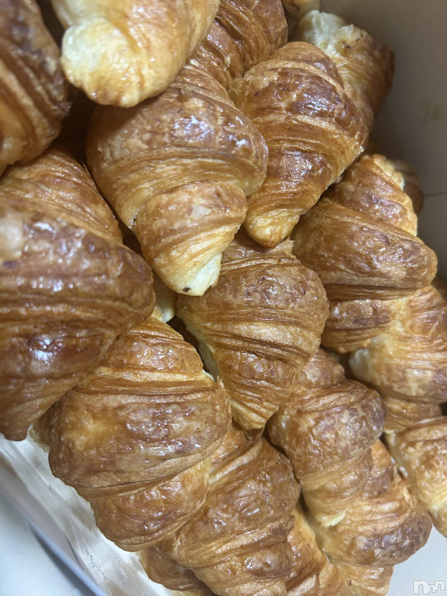 ��ë����Х��顦�����CLUB��Paladin(����֡��ѥ�ǥ���) ��2025ǯ6��17���̥�֥������繥����🥐♥️��