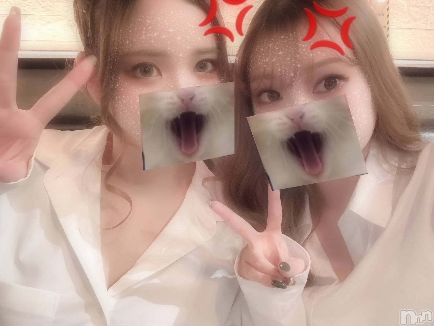 ��ë����Х��顦�����CLUB��Paladin(����֡��ѥ�ǥ���) ��2025ǯ11��18���̥�֥��������褷�ޤ���😷🌟��