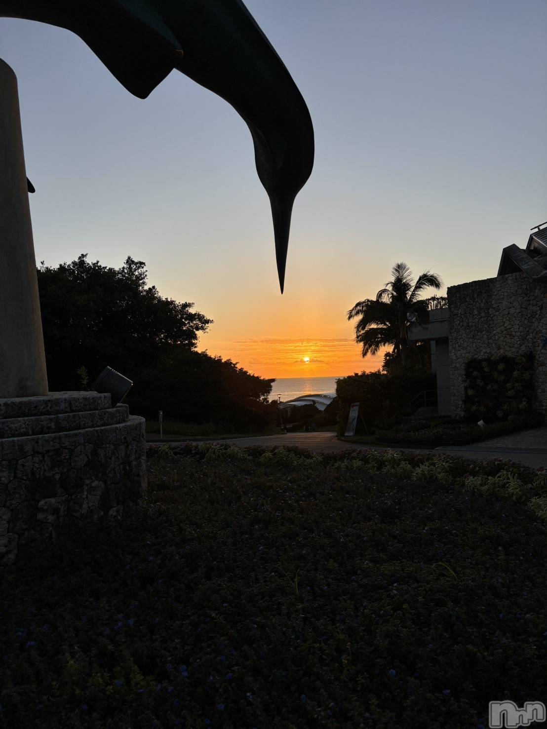 ��ë����Х��顦�����CLUB��Paladin(����֡��ѥ�ǥ���) ��2026ǯ1��22���̥�֥�����🌄��