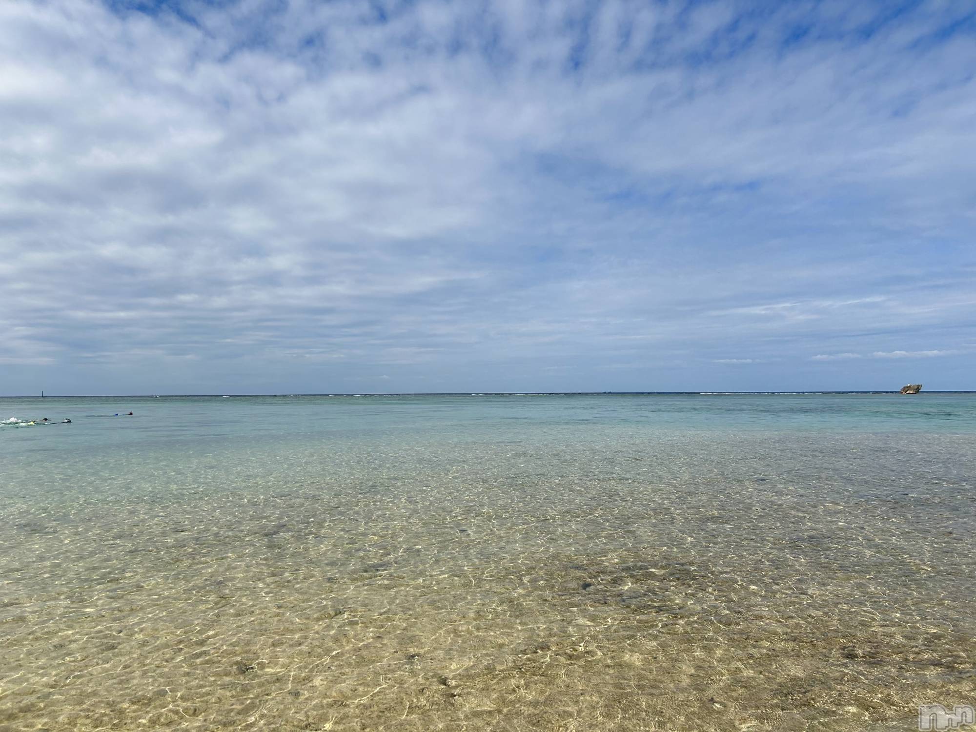 ��ë����Х��顦�����CLUB��Paladin(����֡��ѥ�ǥ���) ��2026ǯ1��27���̥�֥�����🌺🌴��