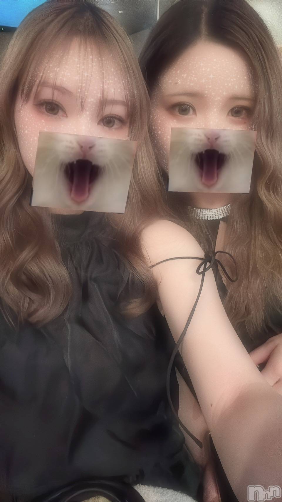 ��ë����Х��顦�����CLUB��Paladin(����֡��ѥ�ǥ���) ��2026ǯ2��10���̥�֥�����🎀🤍��