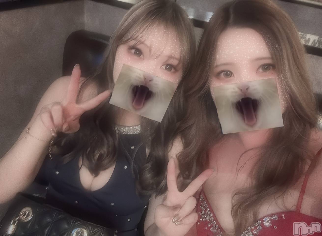 ��ë����Х��顦�����CLUB��Paladin(����֡��ѥ�ǥ���) ��2026ǯ3��10���̥�֥����֤�����🎀��