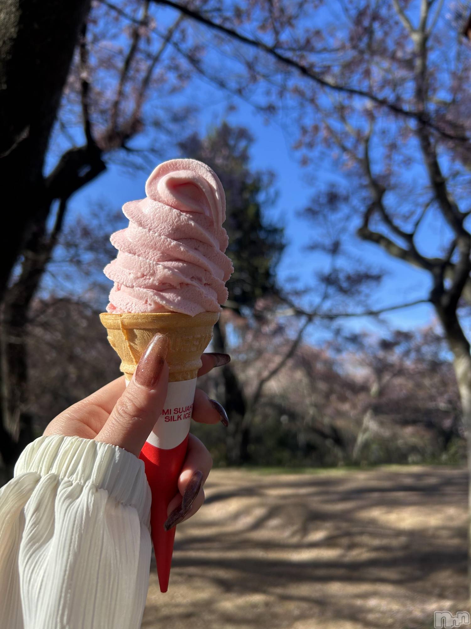 ��ë����Х��顦�����CLUB��Paladin(����֡��ѥ�ǥ���) ��2026ǯ4��21���̥�֥�����🌸🩷 ̖́-��