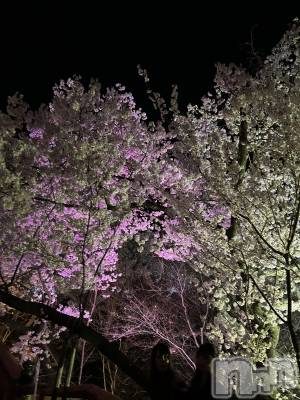 ��ë����Х��顦�����CLUB��Paladin(����֡��ѥ�ǥ���) ����(25)��4��17���̥�֥�����🌸🌃💗��