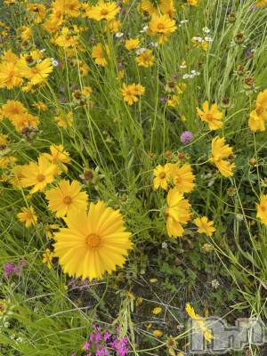 ��ë����Х��顦�����CLUB��Paladin(����֡��ѥ�ǥ���) ����(25)��4��24���̥�֥�����🌷🌸��