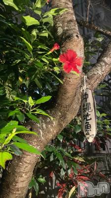 ��ë����Х��顦�����CLUB��Paladin(����֡��ѥ�ǥ���) ����(25)��1��29���̥�֥�����🌌🌙⭐��