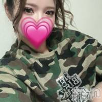 ����(25) ��Ĺ150cm����ë����Х��顦����� CLUB��Paladin(����֡��ѥ�ǥ���)���ҡ�