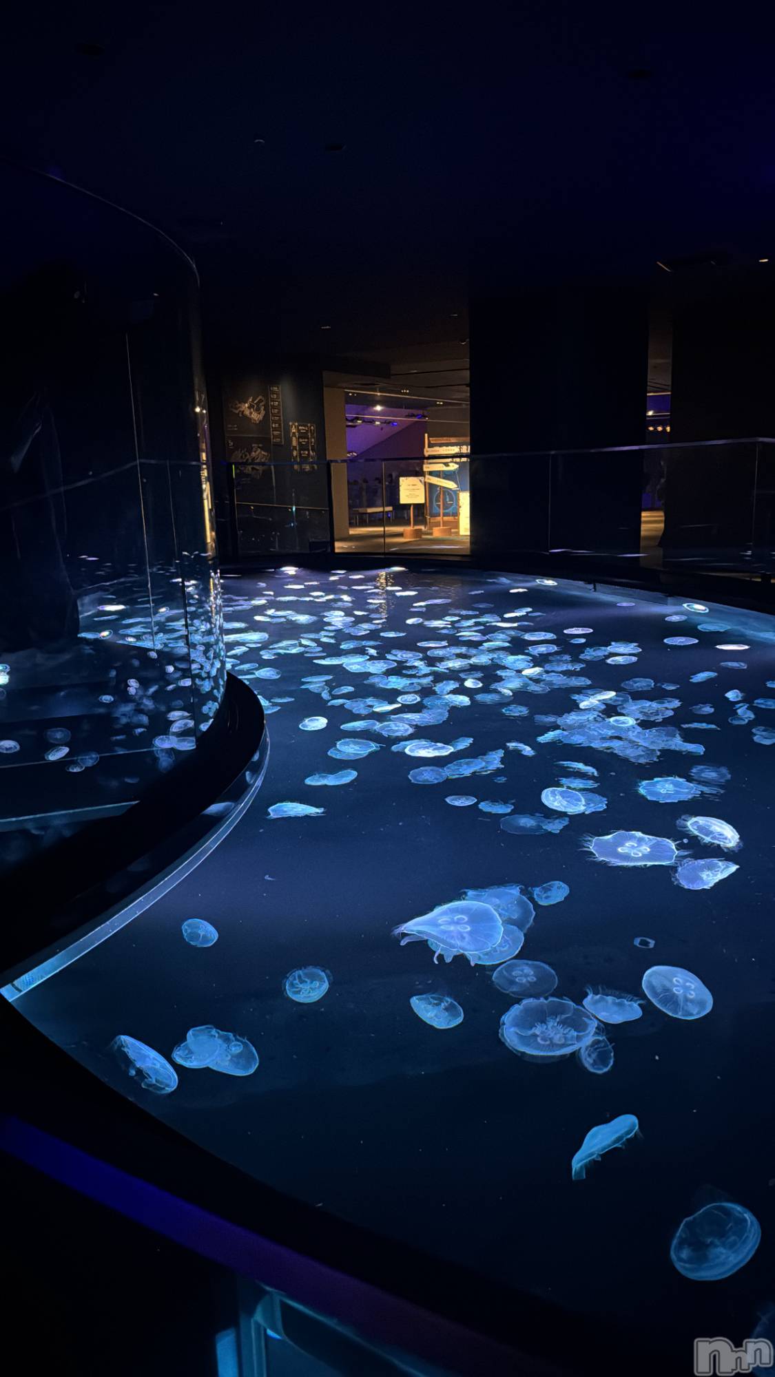 ƲХ顦Lounge Veranda(饦󥸥٥) 2025ǯ816̥֥֤塼