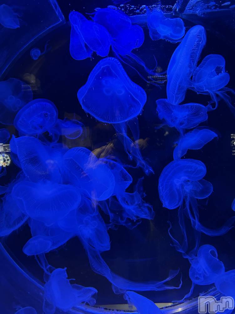 ��Ʋ����Х��顦�����Lounge Veranda(�饦�󥸥٥���) �椫��1��10���̥�֥����֤����