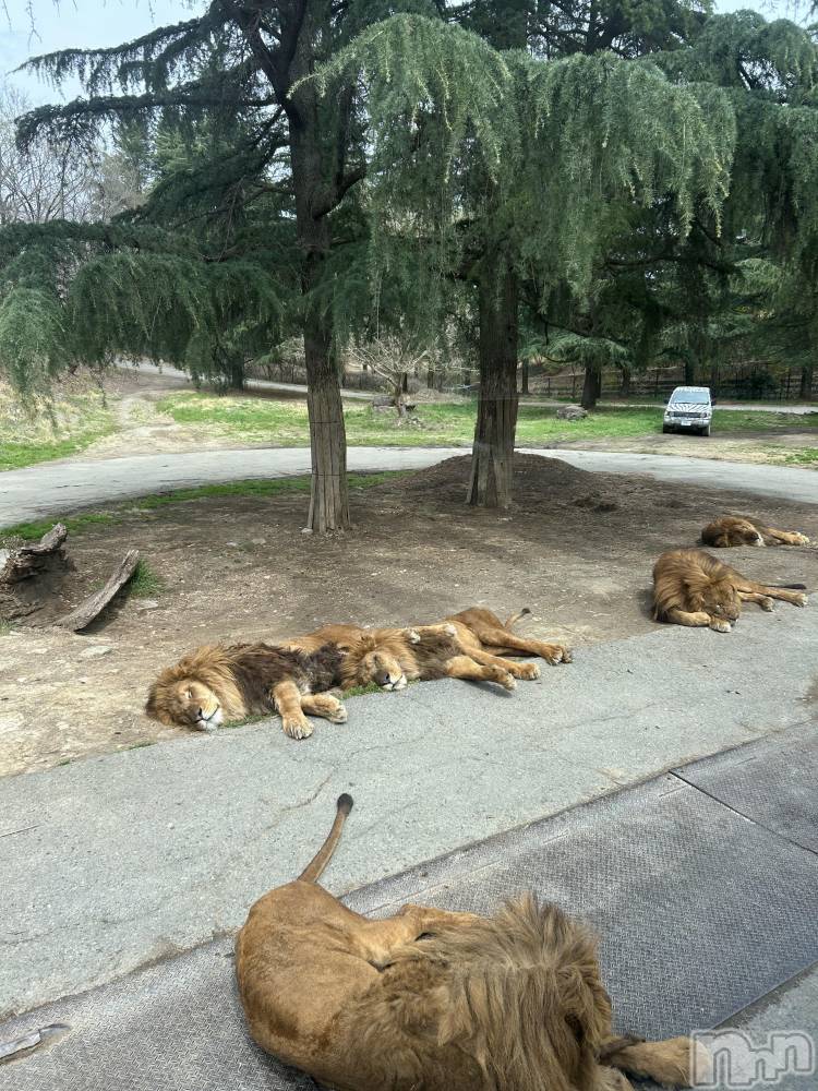 ��Ʋ����Х��顦�����FORTUNE LOUNGE(�ե��������饦��) �椫��4��6���̥�֥����֤����