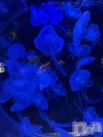 ��Ʋ����Х��顦�����Lounge Veranda(�饦�󥸥٥���) �椫��1��10���̥�֥����֤����