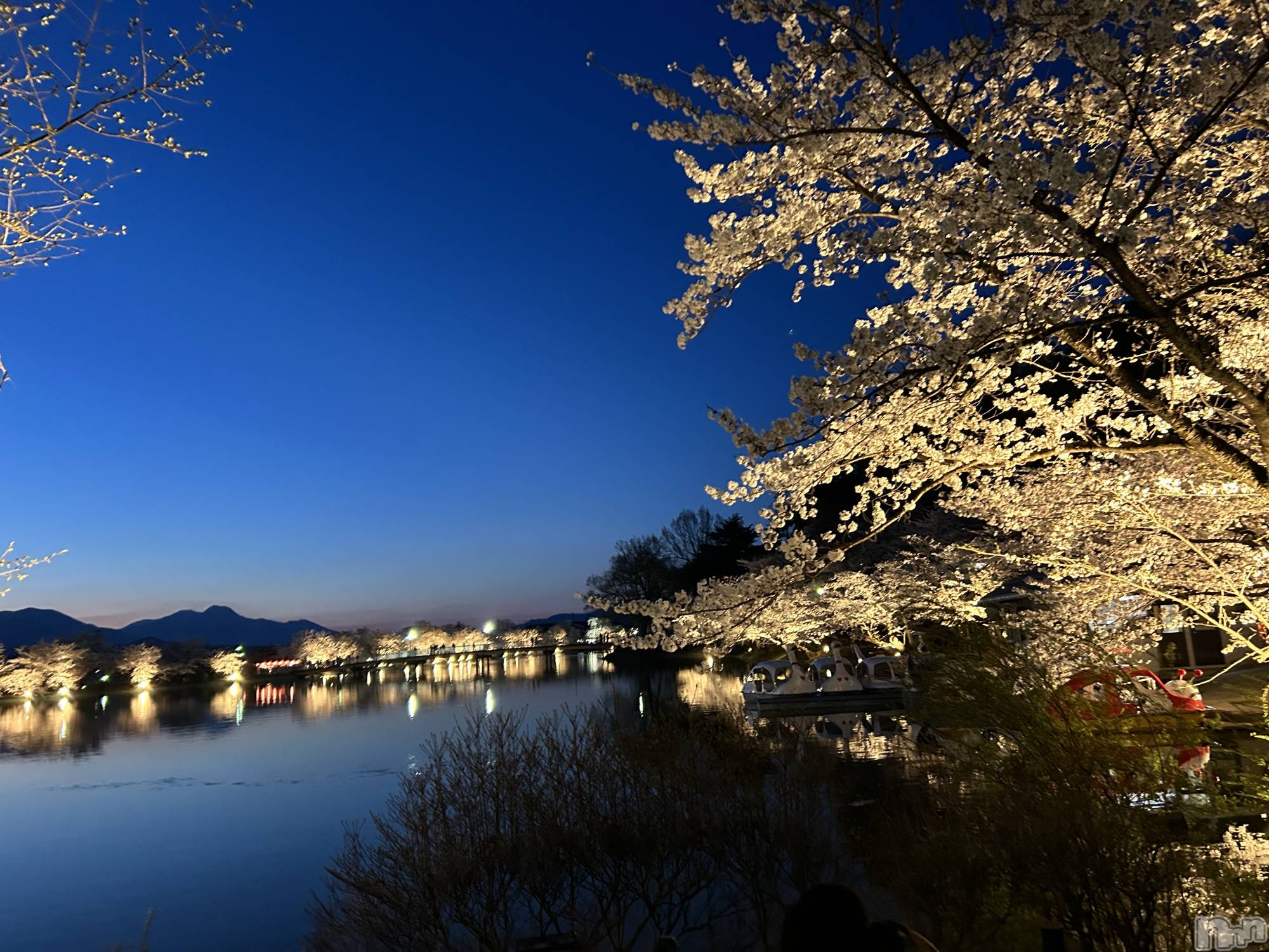 ƲХ顦Lounge Veranda(饦󥸥٥) 2025ǯ418̥֥֤ä󡪡