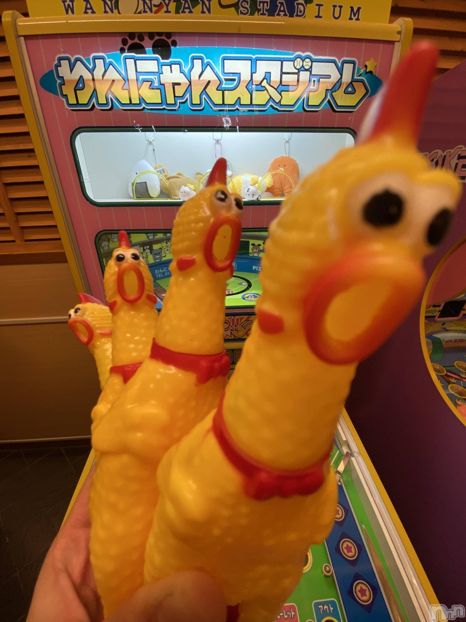 ƲХ顦Lounge Veranda(饦󥸥٥) 2025ǯ912ֽ̥֥жС