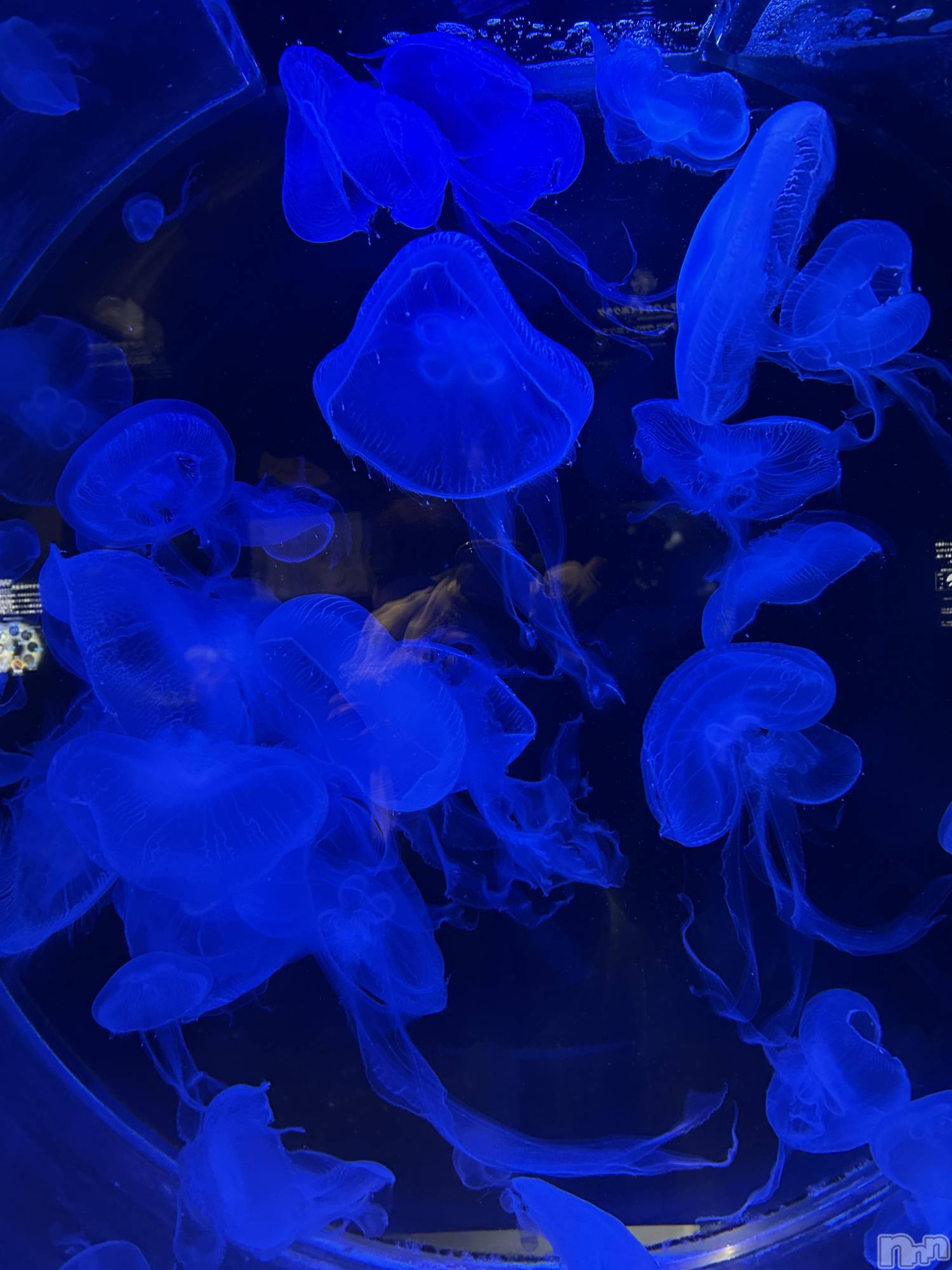 ��Ʋ����Х��顦�����Lounge Veranda(�饦�󥸥٥���) ��2026ǯ1��10���̥�֥����֤����