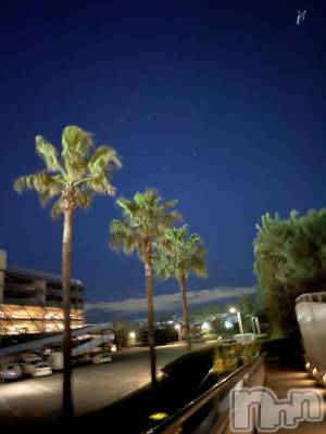 ƲХ顦Lounge Veranda(饦󥸥٥) 椫628̥֥