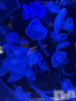 ��Ʋ����Х��顦�����Lounge Veranda(�饦�󥸥٥���) �椫��1��10���̥�֥����֤����