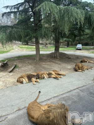 ��Ʋ����Х��顦�����FORTUNE LOUNGE(�ե��������饦��) �椫��4��6���̥�֥����֤����