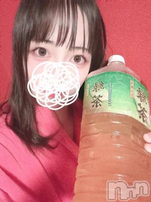 新潟ソープ 新潟バニーコレクション(ニイガタバニーコレクション) サナ(20)の3月2日写メブログ「サナの体内水分=緑茶🍵」