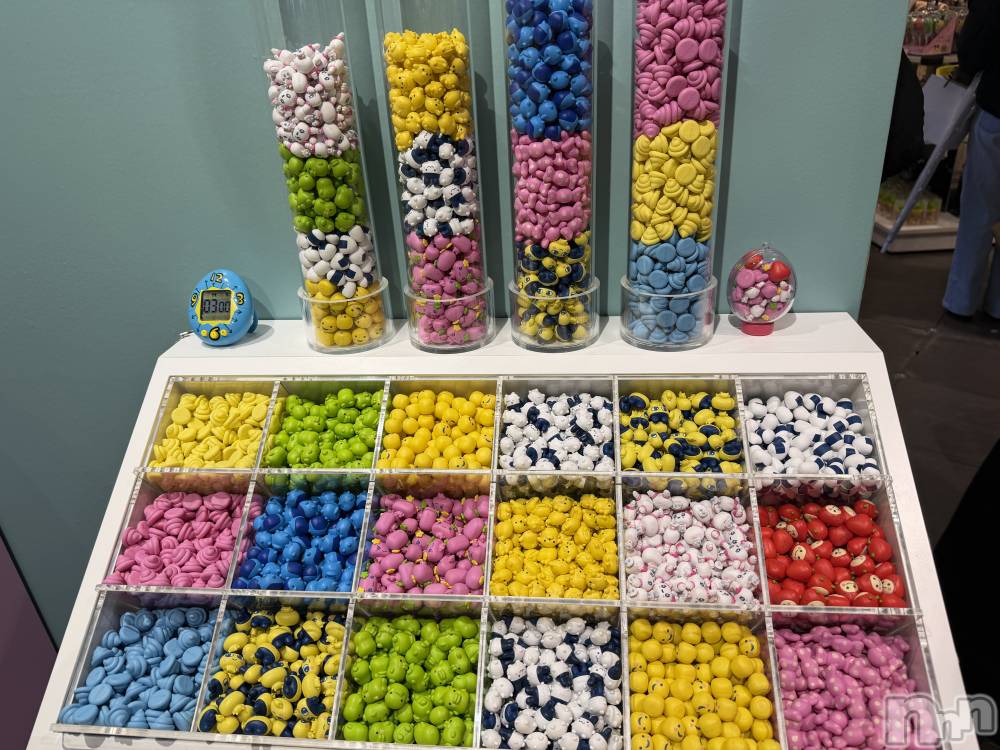 新潟メンズエステあろまえすて＠新潟(アロマエステアットニイガタ) 恋＊れん(28)の2月12日写メブログ「子育てデビュー🥚💕」