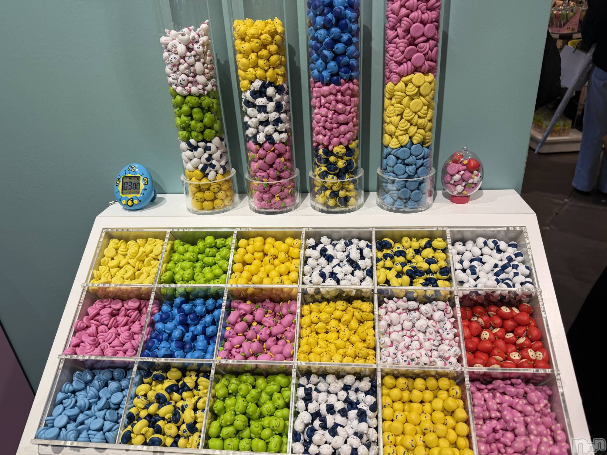 新潟メンズエステあろまえすて＠新潟(アロマエステアットニイガタ)恋＊れん(28)の2026年2月12日写メブログ「子育てデビュー🥚💕」