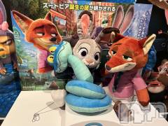 新潟メンズエステあろまえすて＠新潟(アロマエステアットニイガタ) 恋＊れん(28)の12月31日写メブログ「🐰🦊💗」