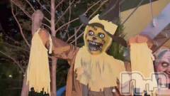 新潟メンズエステあろまえすて＠新潟(アロマエステアットニイガタ) 恋＊れん(28)の10月31日動画「🎃ᕼᥲρρч ᕼᥲᥣᥣ᥆աᥱᥱᥒ⊹₊🖤」