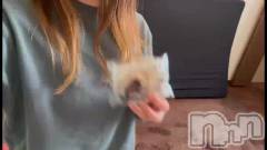 新潟メンズエステあろまえすて＠新潟(アロマエステアットニイガタ) 恋＊れん(28)の11月20日動画「鬼リピ🤎」