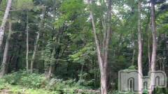 新潟メンズエステあろまえすて＠新潟(アロマエステアットニイガタ) 恋＊れん(28)の7月15日動画「✱今週の出勤予定✱」