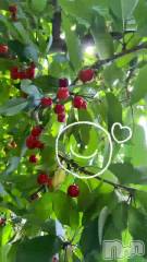 新潟メンズエステあろまえすて＠新潟(アロマエステアットニイガタ) 恋＊れん(28)の6月28日動画「🍒🍒🍒」