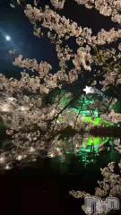 新潟メンズエステあろまえすて＠新潟(アロマエステアットニイガタ) 恋＊れん(28)の4月14日動画「✱今週の出勤予定✱」