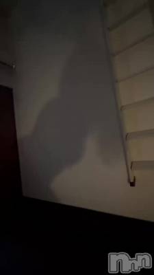 ぼけぼけ
