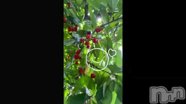 &#x1F352;&#x1F352;&#x1F352;