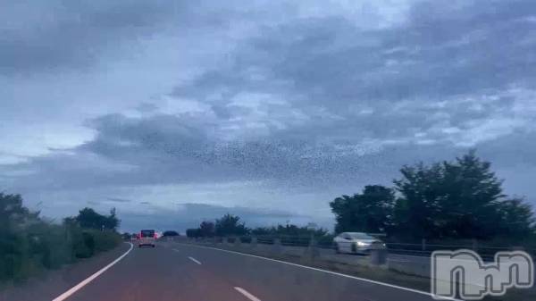 新潟メンズエステあろまえすて＠新潟(アロマエステアットニイガタ) 恋＊れん(28)の9月18日動画「」