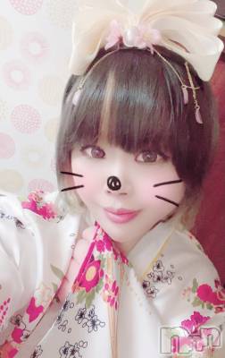 ƲС㤭MILKYHEART(ߥ륭ϡ) 37̥֥֤Фϡ