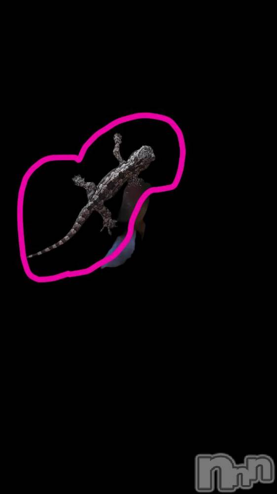 新潟デリヘル奥様特急 新潟店(オクサマトッキュウニイガタテン) つきな(28)の2月5日写メブログ「わたくしごとでわございますが！！！」