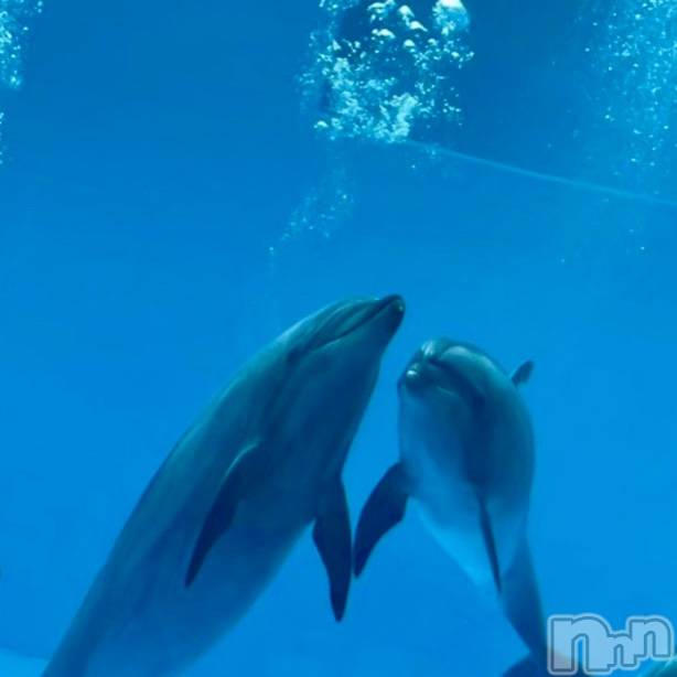ĮХ顦club Diana(֥ǥ) ꤫25ֿ̥֥²🐠🐟🐬